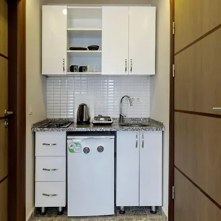 Cozy & Comfy Studio At Beyoglu - 57 公寓 伊斯坦布尔